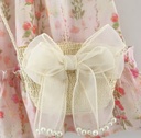 Set cartera perlas